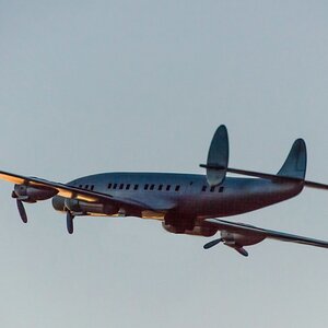 TZ ZIM 8598