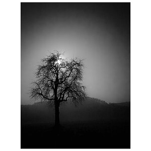 MorgenIMG 1146