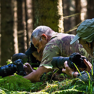 Arbeitsfoto