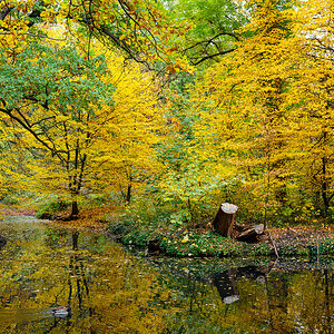 DSC0944 08 11 2018
Bäume, Wolfsburg, Natur, Landschaft