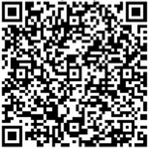 lion QR