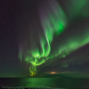 190311 Lofoten 29