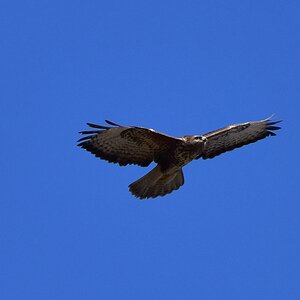 comp DSC 4797
