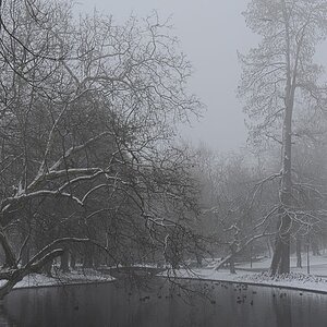 20190120 Schlossgarten 72D3975 1200