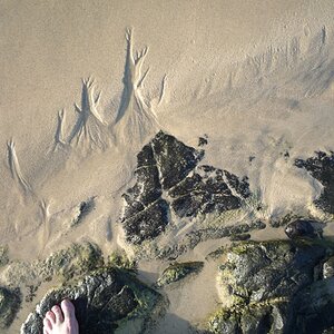 Strand 2