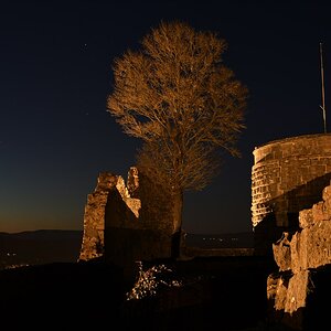DSC 0159 00001