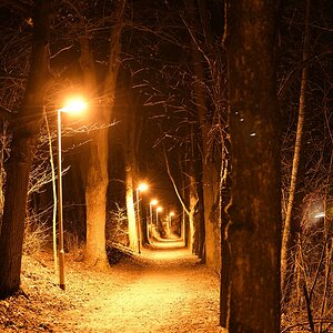 DSC 0128 00001