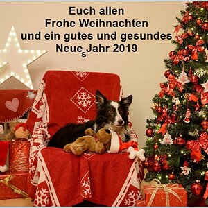 frohes fest facebook