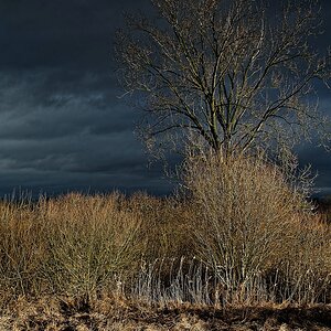 Neulich am See