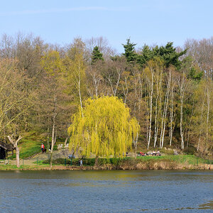 Alsdorfer Weiher 1
