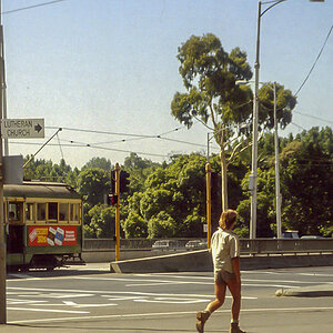 Melbourne 0002 84 SLR