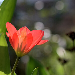 DSC 0704 00001 01