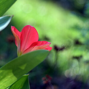 DSC 0700 00001