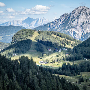 Blick