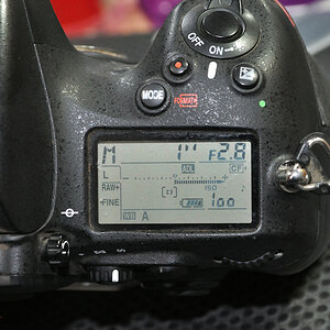 DSC 10139