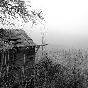 P1070892sw klein