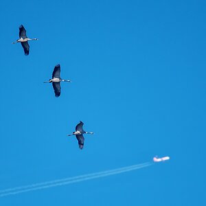 D50 8777 hey Kumpel du bist aber schnell IA 2 2019
