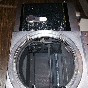 nikon  bild 3