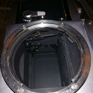 nikon bild 4