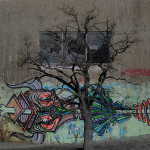 Montage Baum Graffiti 03