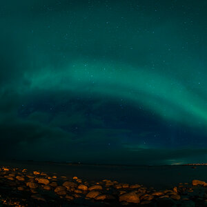 190304 Lofoten  3