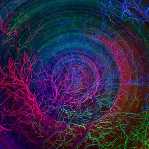 Winterlichter 2019 1342