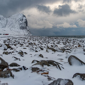 190305 Lofoten  6