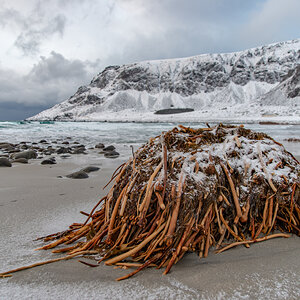 190305 Lofoten  9