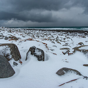 190305 Lofoten  11