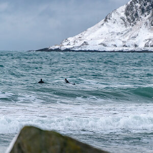 190306 Lofoten  18