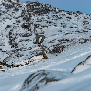 190307 Lofoten 18