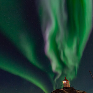190307 Lofoten 28