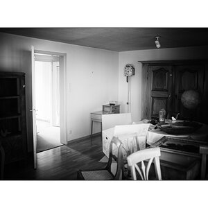 HausPZ1 9790