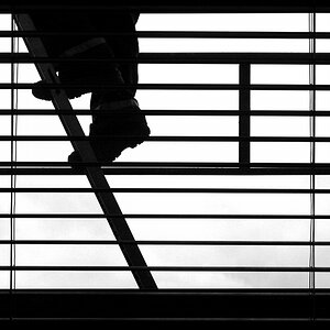 Fenster 2