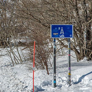 190310 Lofoten 12
