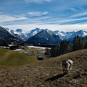 DSC3369 Bearbeitet 1