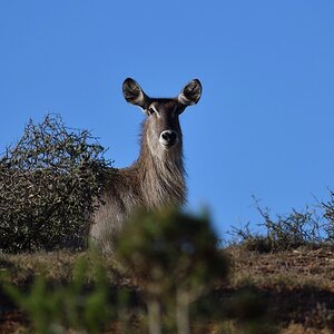 DSC 3505