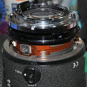 DSC 10407
