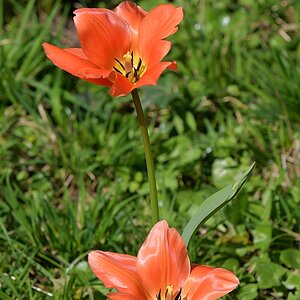 WRU_6848.JPG