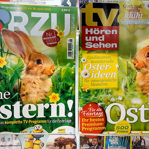 Duplizität der Osterhasen