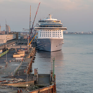 190407 Spectrum of the Seas-1.jpg