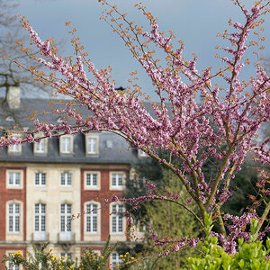Schlosspark-0.jpg