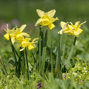 Schlosspark-27.jpg