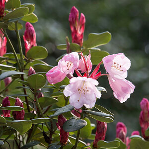 Schlosspark-125.jpg