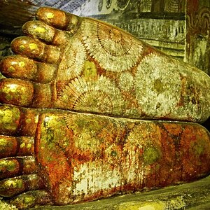 buddha-f.jpg