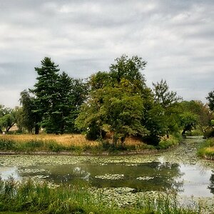 VG_500_9960_on1_nc_landscape.jpg