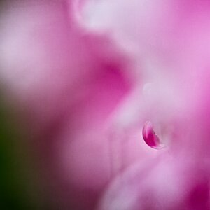 VG5_0360_on1_1000.jpg