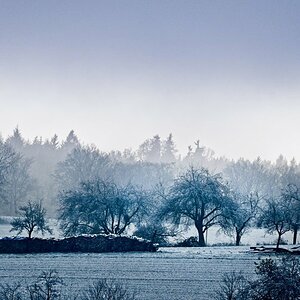VG5_6247_on1_nc_landscape.jpg
