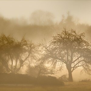 VG5_7099_on1_nc_landscape.jpg