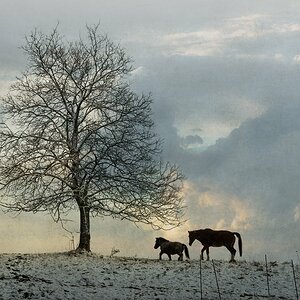VG8_6321v1_on1_nc_landscape.jpg